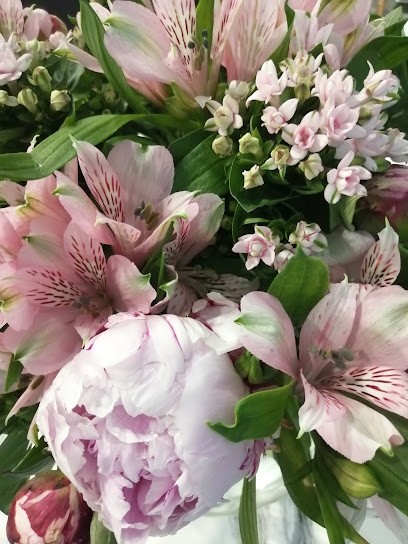 Kukkis Anne, Kukkakauppa Espoo