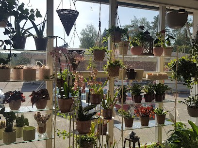 Pälkäneen Kukkakauppa, Kukkakauppa Pälkäne